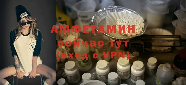 гидра Гусь-Хрустальный