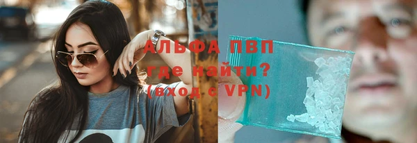 гидра Гусь-Хрустальный