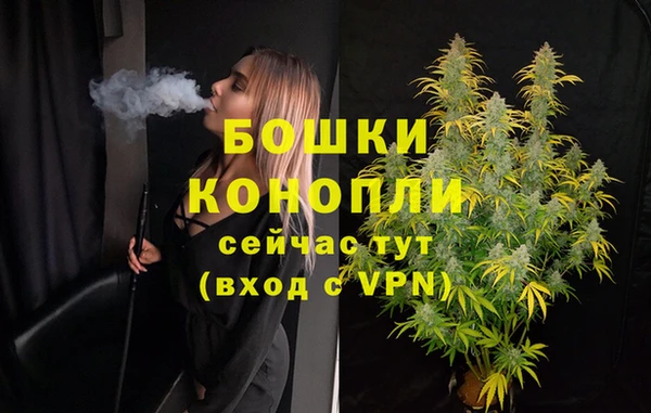 гидра Гусь-Хрустальный