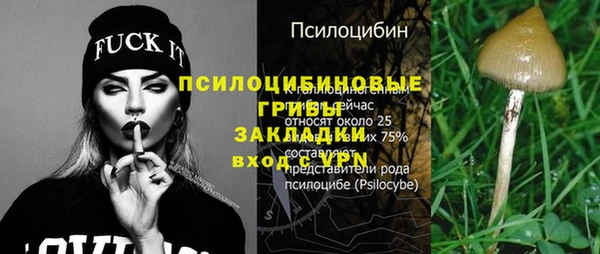 гидра Гусь-Хрустальный