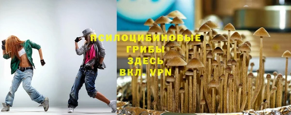 MDMA Гусиноозёрск