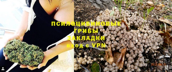 MDMA Гусиноозёрск