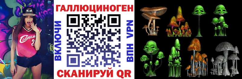 Купить  Бугульма  Псилоцибиновые грибы GOLDEN TEACHER 